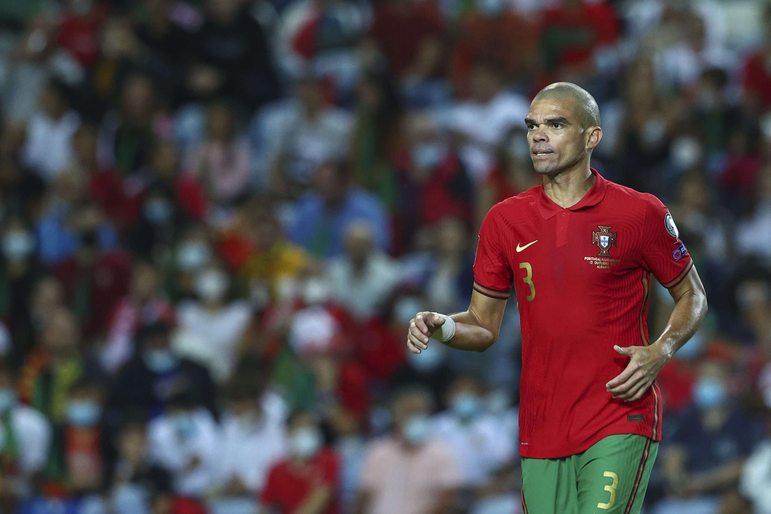 Pepe, Portugal v Luxembourg